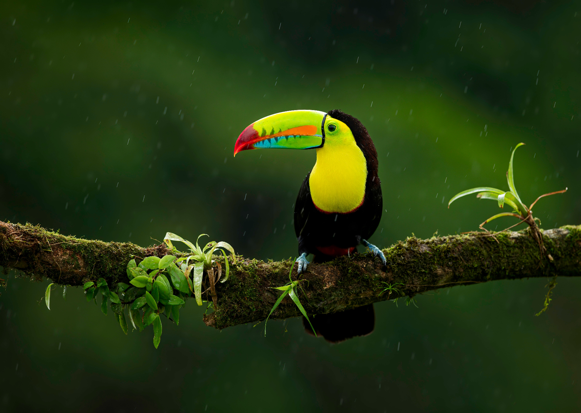 Costa Rica
